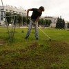 восстановление травяного покрова
