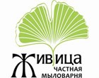 Что такое ЖИВИЦА? Что такое ЖИВИЦА?